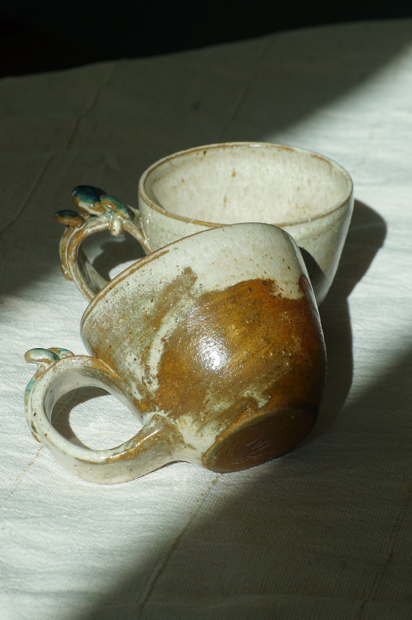 Fungi Tazas