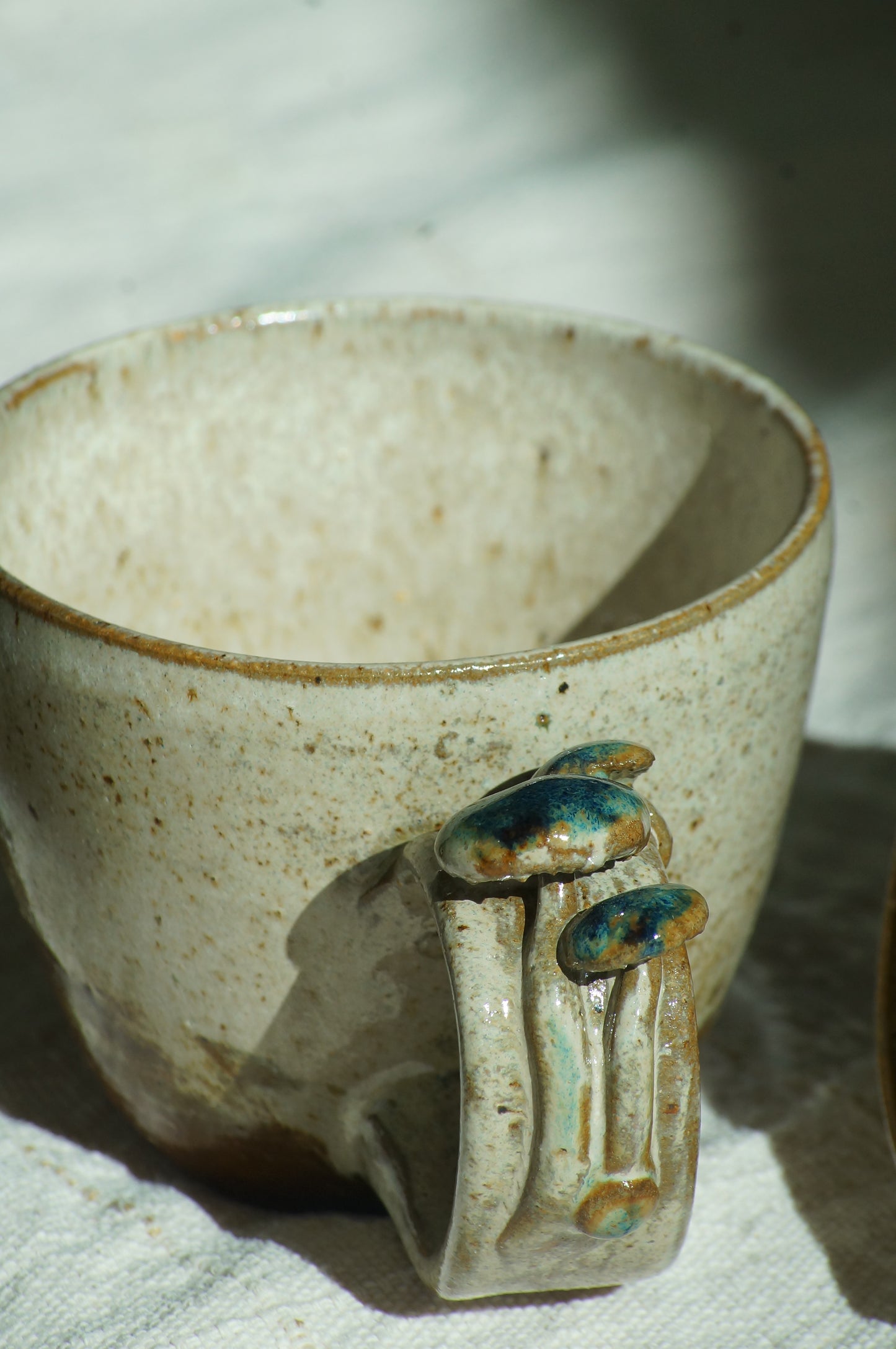 Fungi Tazas