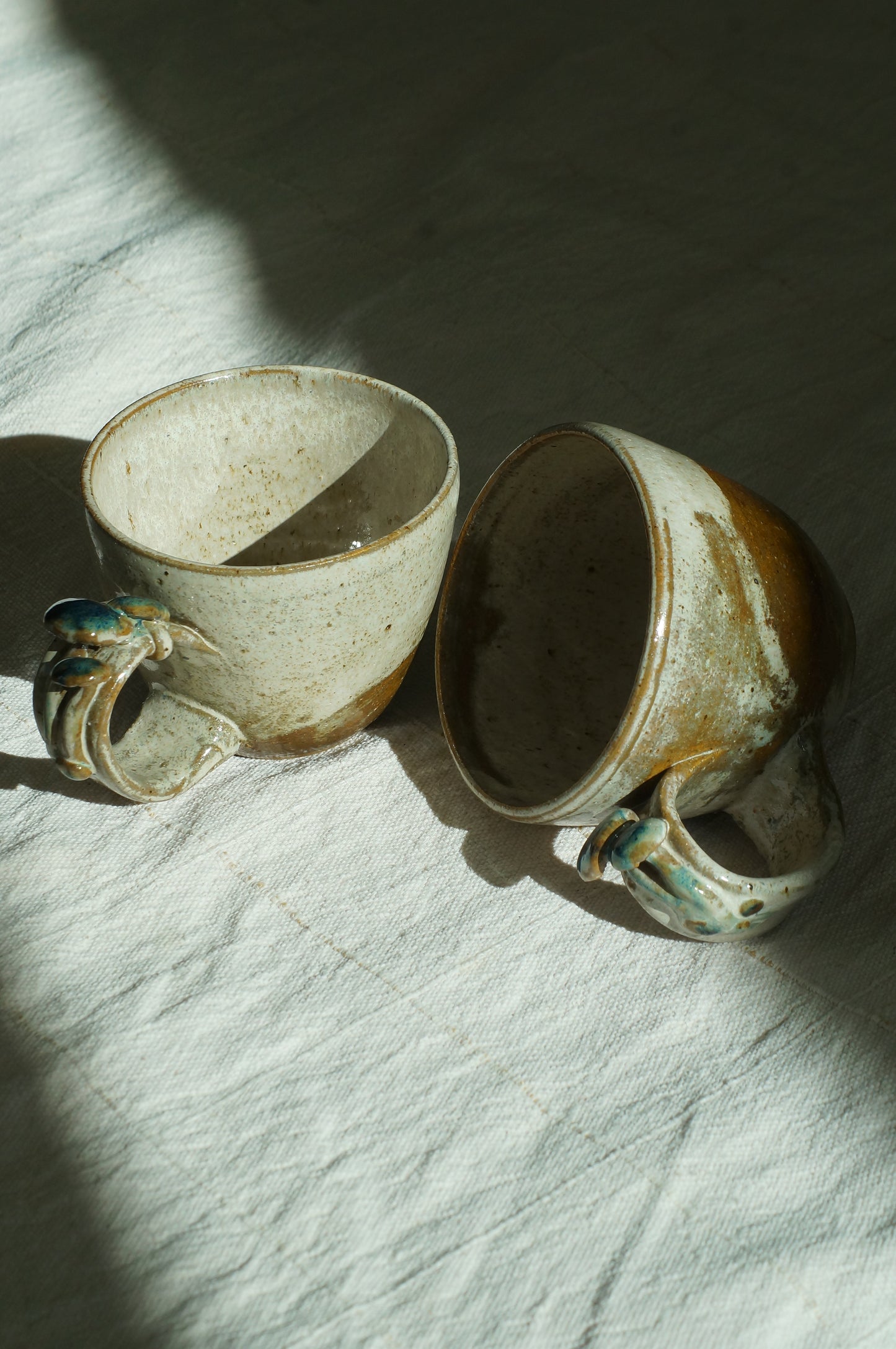 Fungi Tazas