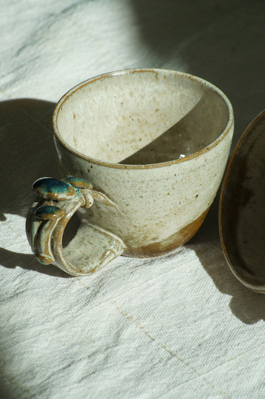 Fungi Tazas