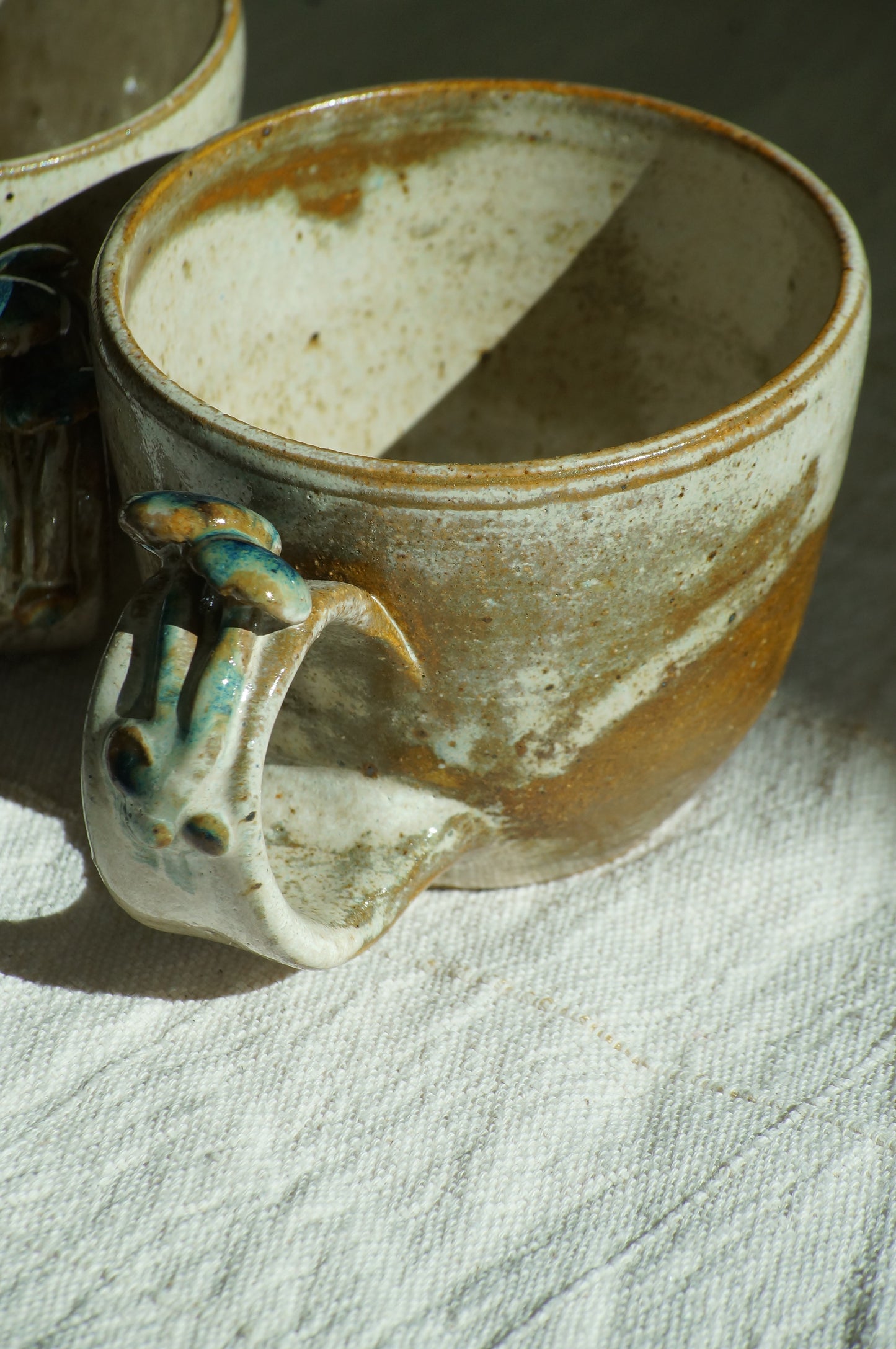 Fungi Tazas