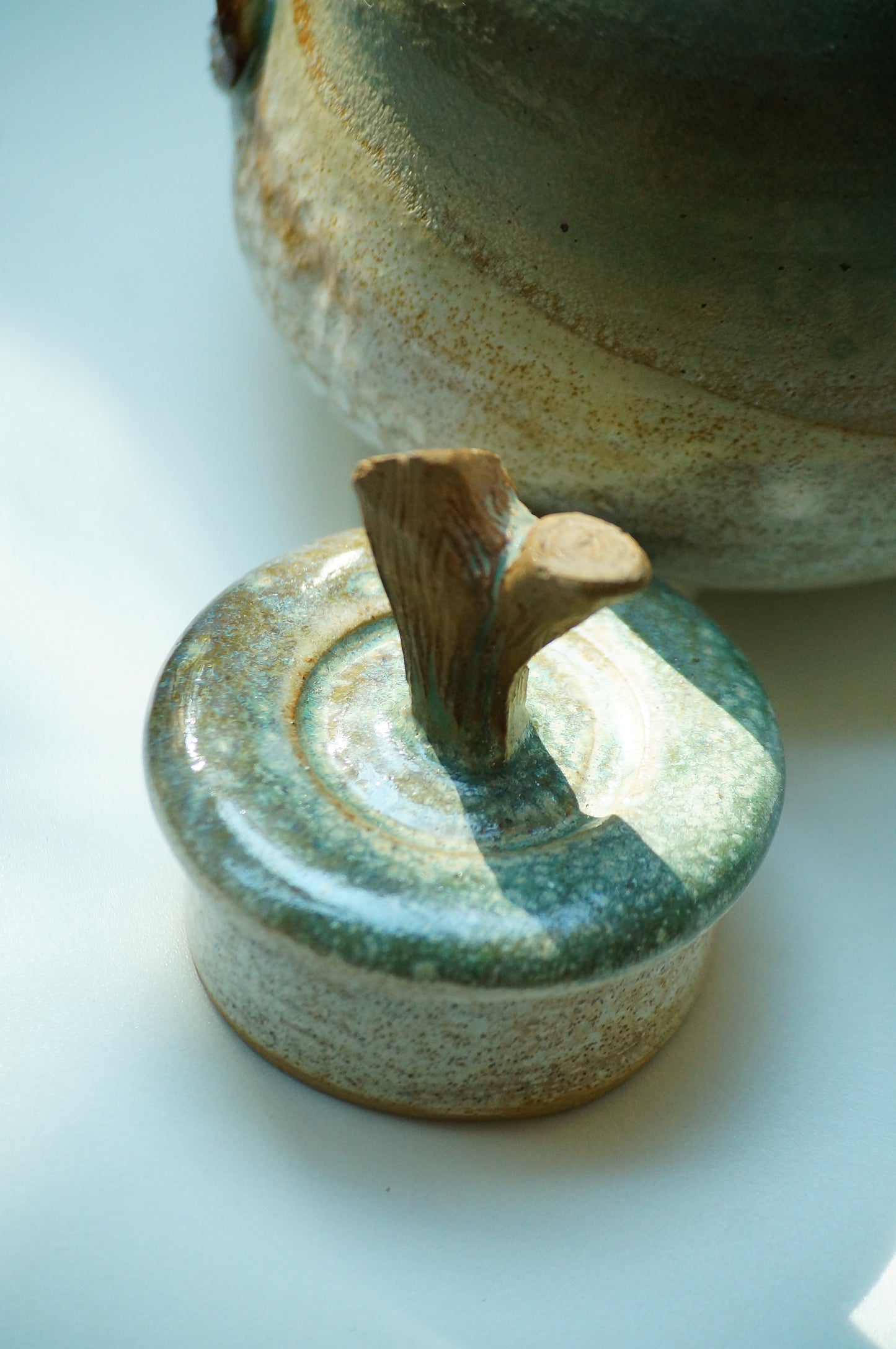 Tetera Fungi